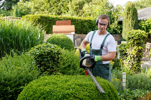 Parkservice, Gartenbau, MIcheal Müller, Nordhausen